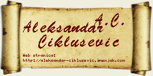 Aleksandar Ciklušević vizit kartica